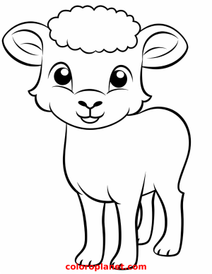 Join the Little Sheep on a Coloring Journey!
