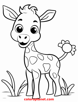 Discover the Beauty of the Tiny Gazelle