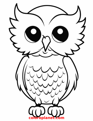 Join a Cute Little Feathered Friend on a Colorful Journey
