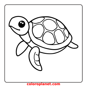 Dive into the Colorful World of Marine Turtles