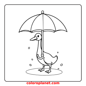 Color under the Umbrella Adventure