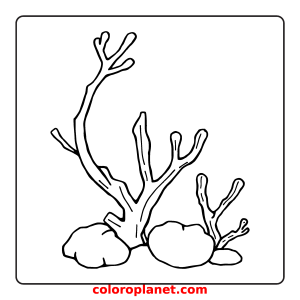 Colorful Marine Flora for Kids
