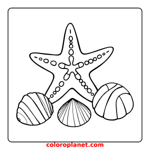 Dive into an Ocean Adventure with 3 Seashells and a Starfish